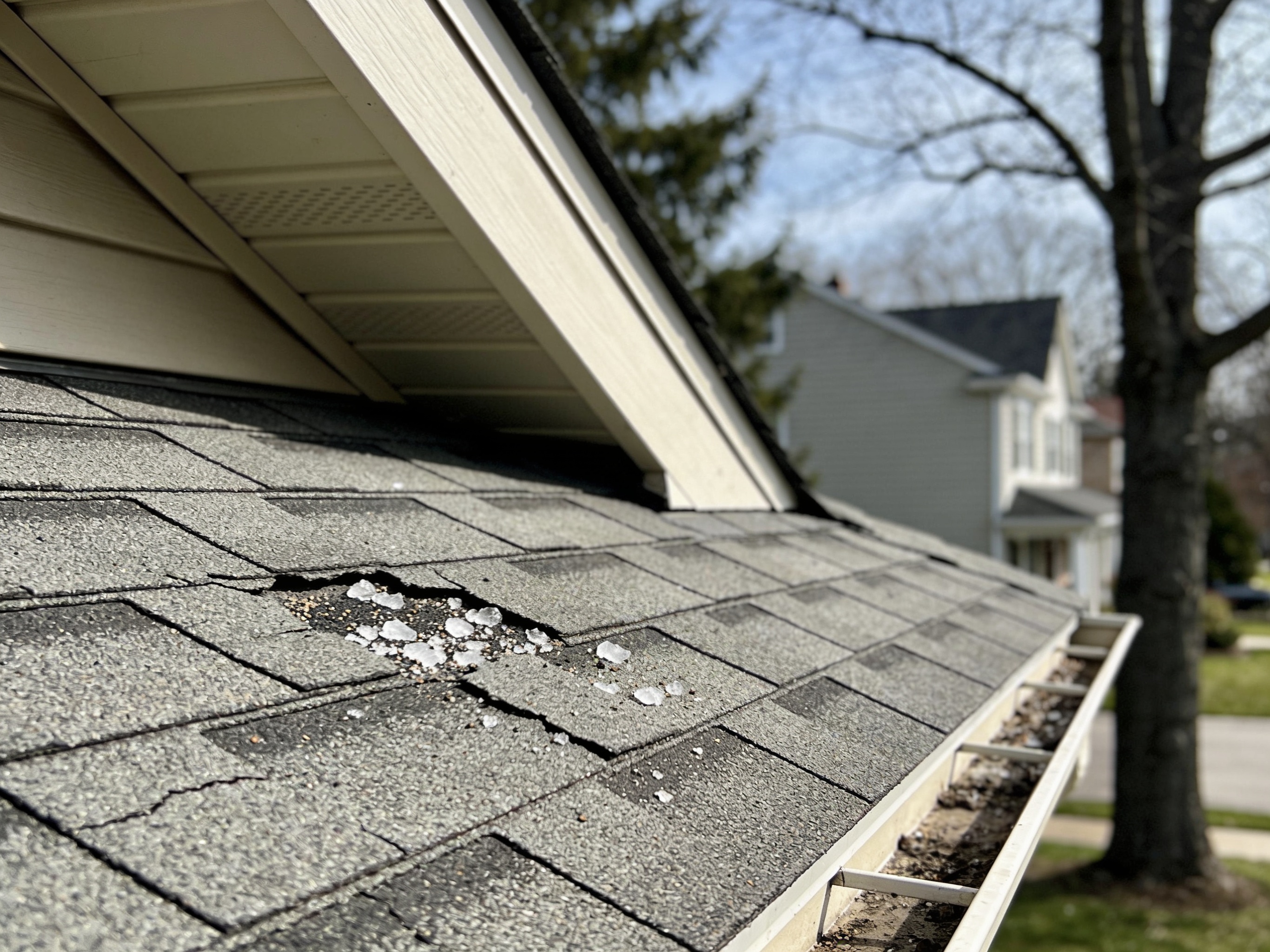 Roof Installing Newtown Square Pa in Springfield, PA 19064